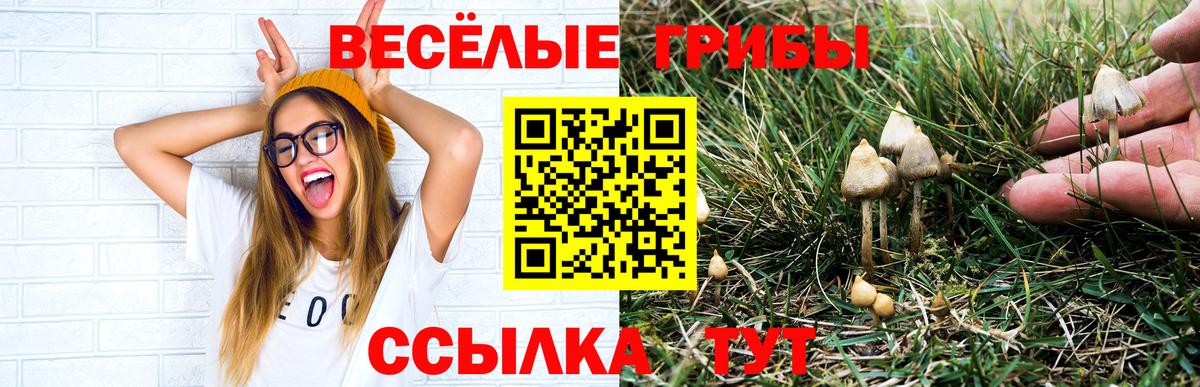 Галлюциногенные грибы мицелий Гусев